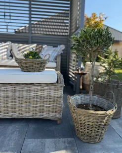 Ławka ogrodowa z poduchą SUSUA 141 cm Rattan Naturalny