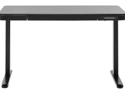 Biurko regulowane elektrycznie KENLY 120 cm 60 cm Z portem USB Wszystkie Biurka|Biurka Z Regulacją Wysokości