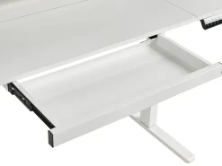 Clearance Biurko regulowane elektrycznie LUCAMA 120 cm 60 cm Z portem USB Wszystkie Biurka|Biurka Z Regulacją Wysokości