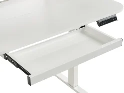 Outlet Biurko regulowane elektrycznie WILBANKS 120 cm 60 cm Z portem USB Wszystkie Biurka|Biurka Z Regulacją Wysokości