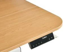 Hot Biurko regulowane elektrycznie WILBANKS Jasny brąz/ biały 120 cm 60 cm Z portem USB Wszystkie Biurka|Biurka Z Regulacją Wysokości
