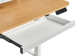 Hot Biurko regulowane elektrycznie WILBANKS Jasny brąz/ biały 120 cm 60 cm Z portem USB Wszystkie Biurka|Biurka Z Regulacją Wysokości