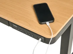 New Biurko regulowane elektrycznie PENLY Czarny/ jasny brąz 120 cm 60 cm Z portem USB Wszystkie Biurka|Biurka Z Regulacją Wysokości