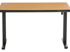 New Biurko regulowane elektrycznie PENLY Czarny/ jasny brąz 120 cm 60 cm Z portem USB Wszystkie Biurka|Biurka Z Regulacją Wysokości