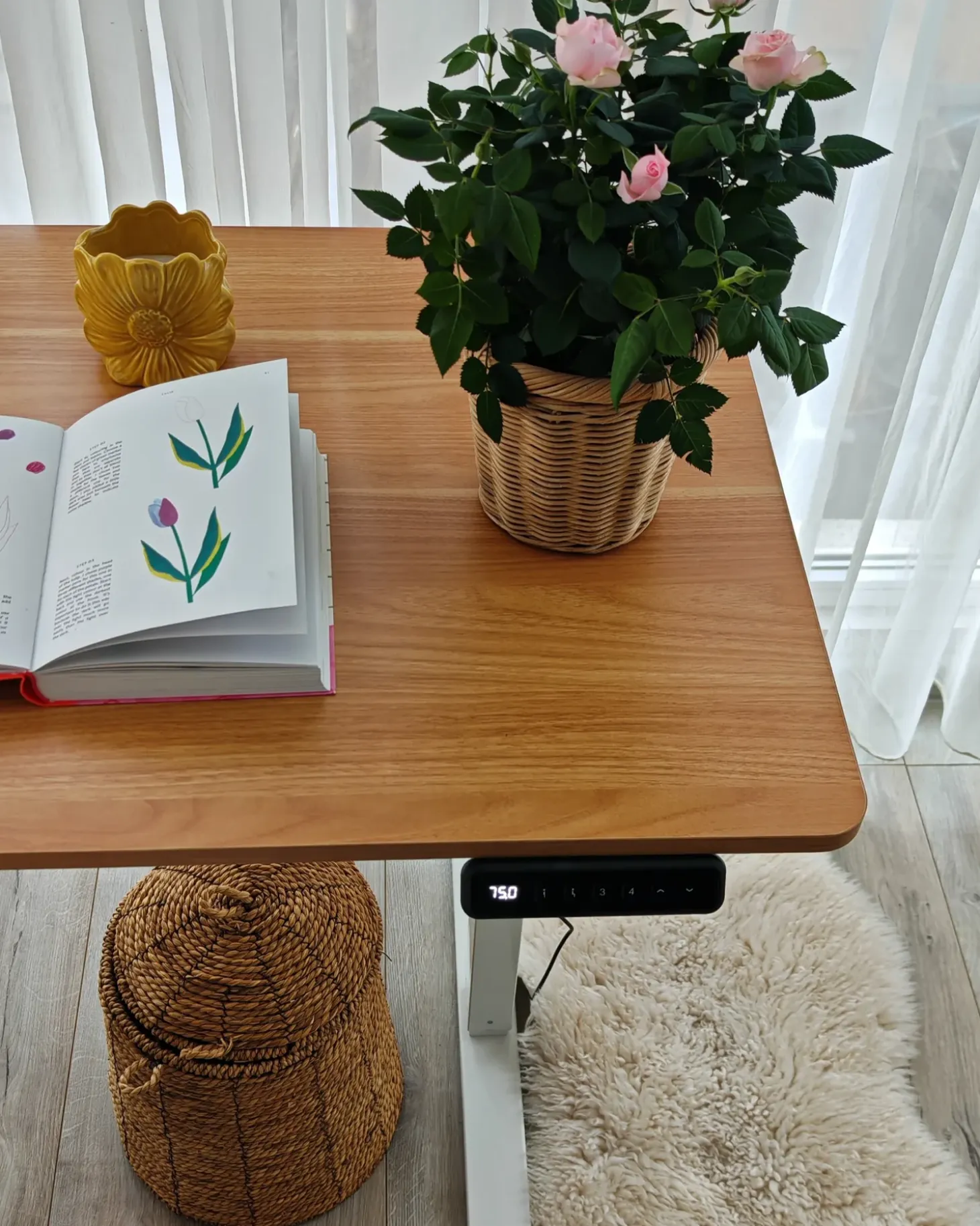 Discount Biurko regulowane elektrycznie TAVARES Jasny brąz/ biały 120 cm 60 cm Wszystkie Biurka|Biurka Z Regulacją Wysokości