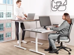 Online Biurko regulowane manualnie DESTINAS Szary/ biały 72 cm Wszystkie Biurka|Biurka Z Regulacją Wysokości