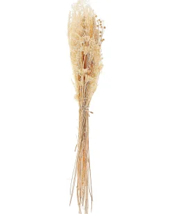 Bukiet suszonych kwiatów BRUNETE 65 cm Naturalny