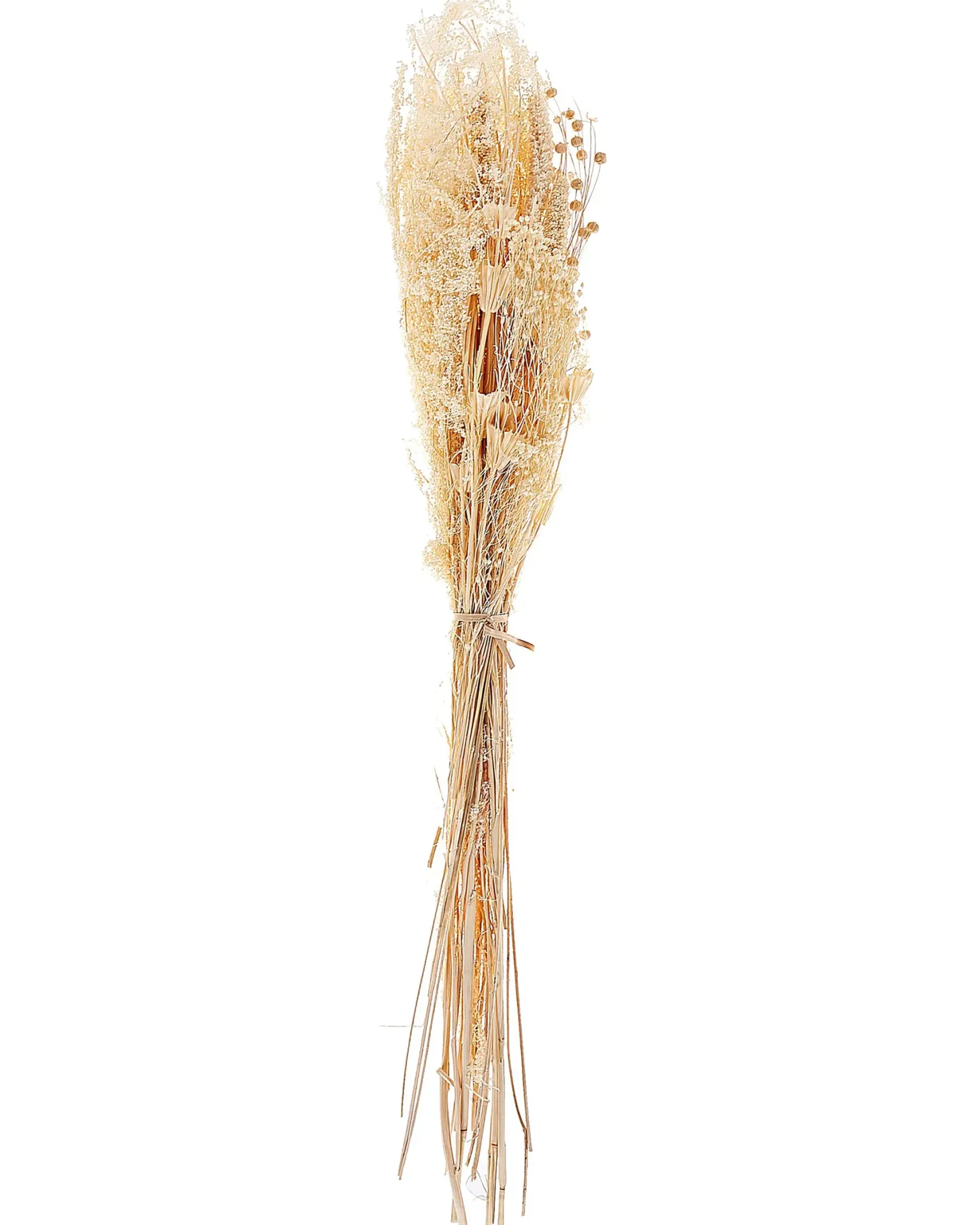 Bukiet suszonych kwiatów BRUNETE 65 cm Naturalny