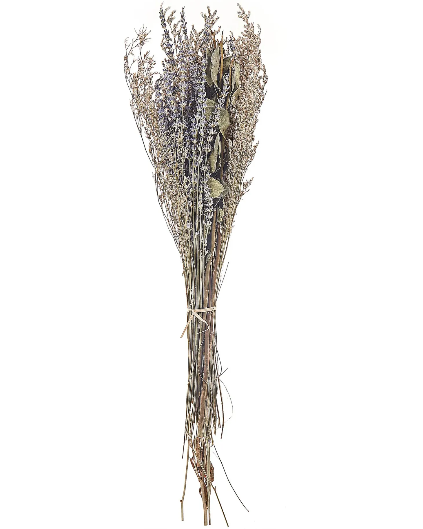 Bukiet suszonych kwiatów NAWARRA 70 cm Naturalny