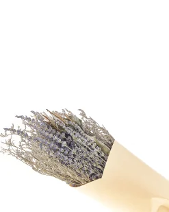 Bukiet suszonych kwiatów NAWARRA 70 cm Naturalny
