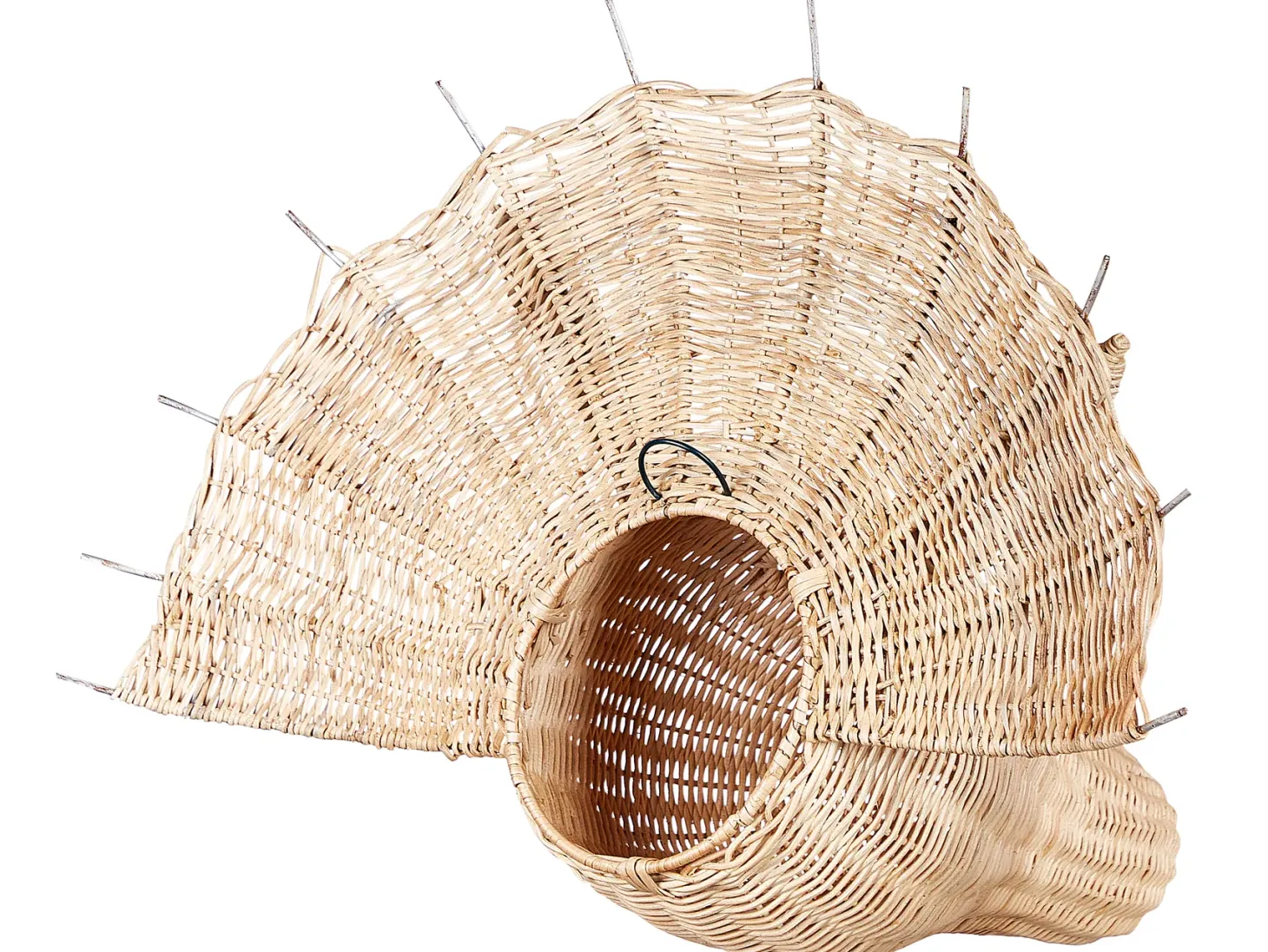 Dekoracja ścienna Dinozaur BIOKO Rattan 44 cm Naturalny