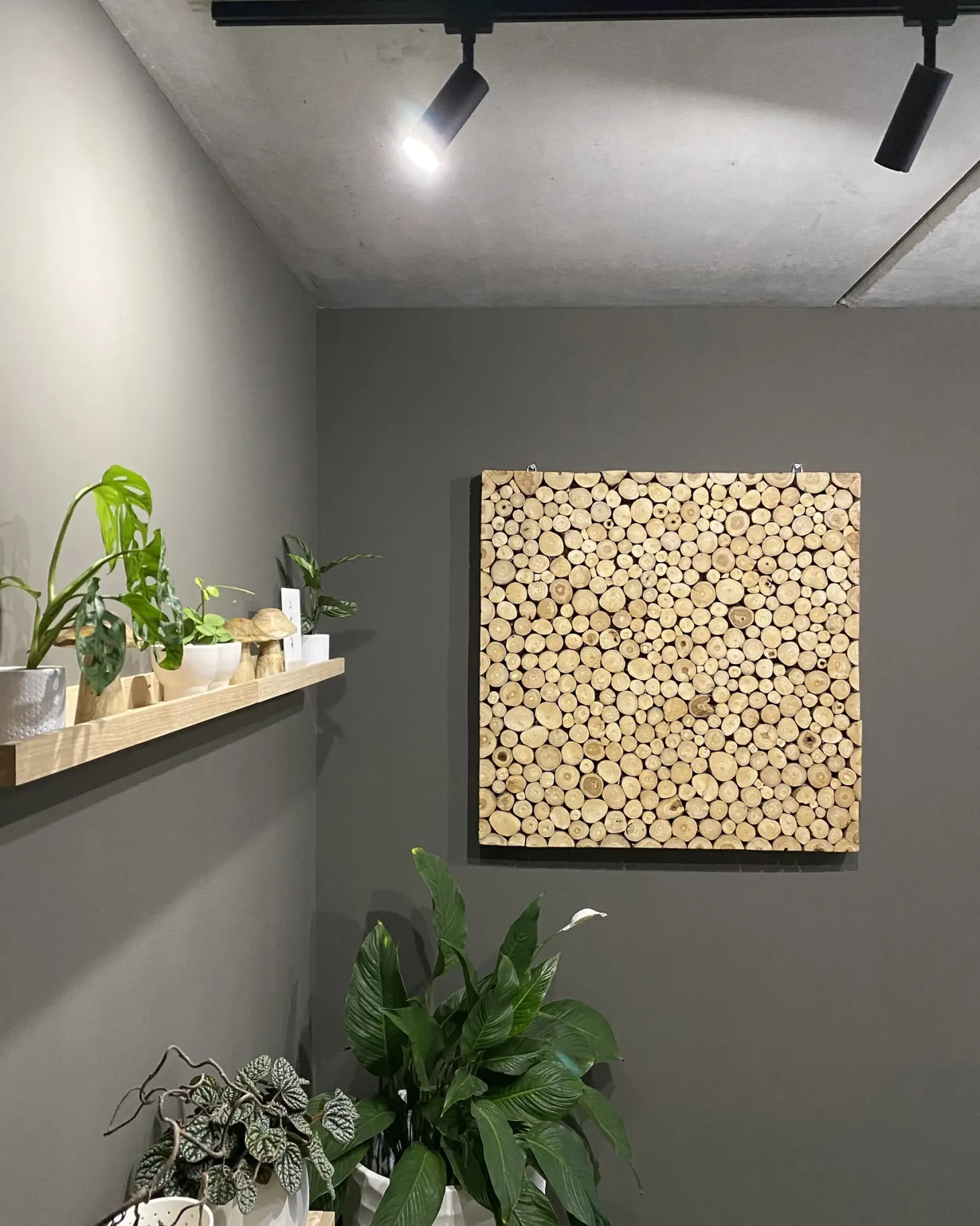 Dekoracja ścienna TWIG Drewno tekowe 85 cm Jasnobrązowy