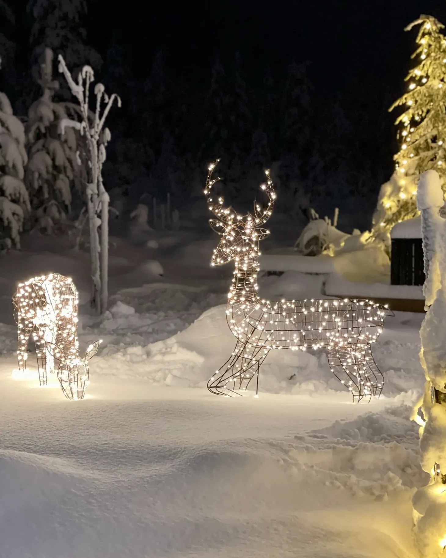 Dekoracja ogrodowa LED MAHLATTI Renifer 128 cm Czarny