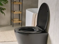 Deska sedesowa PAPURI Wolnoopadająca Duroplast Czarny