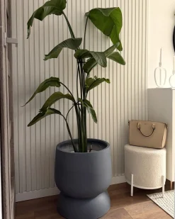 Donica ARAUCARIA 42 cm Szary