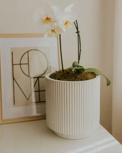 Donica DARIA 24 cm Złamana biel