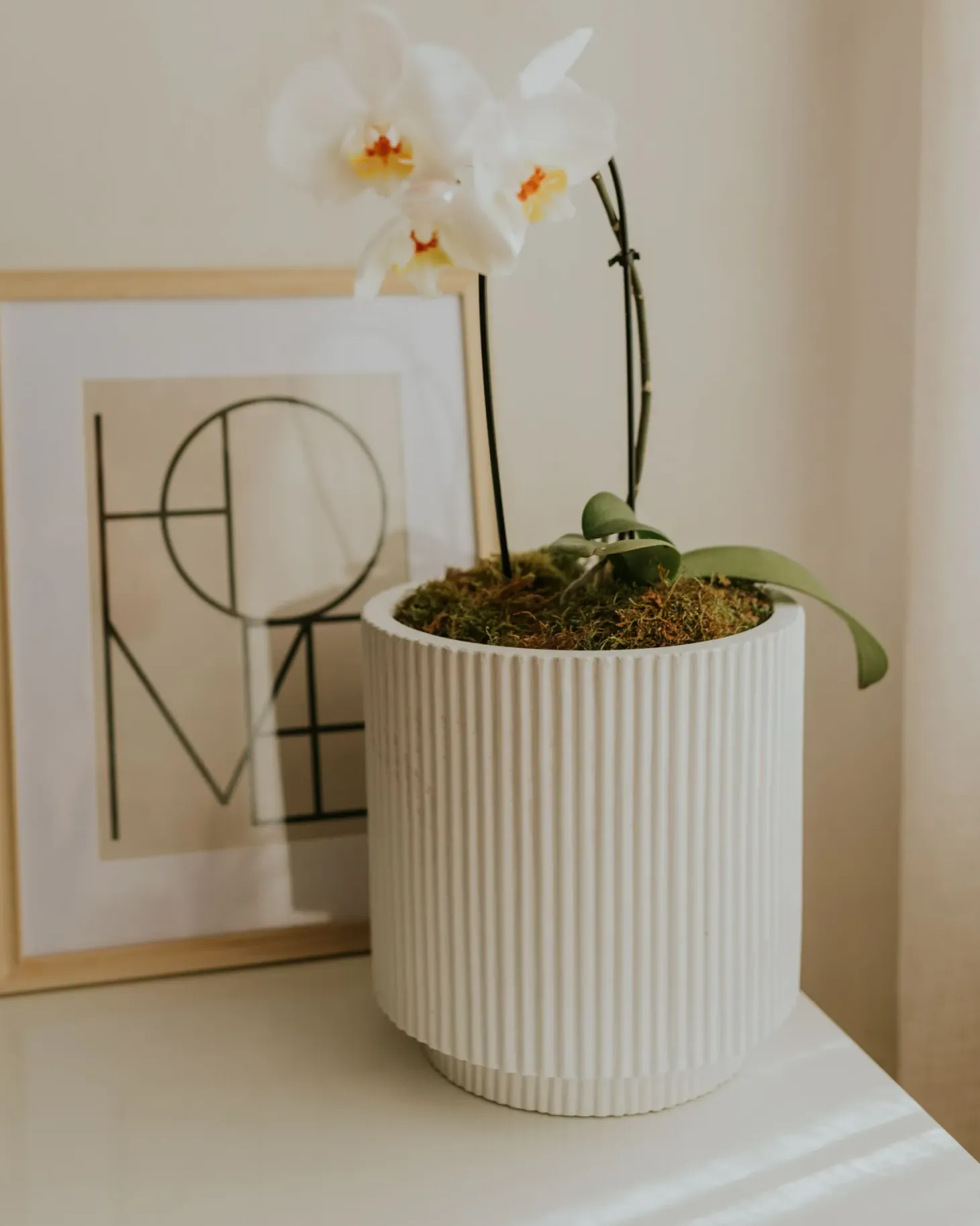 Donica DARIA 24 cm Złamana biel