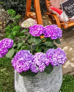 Donica DIONI 48 cm Jasnoszary
