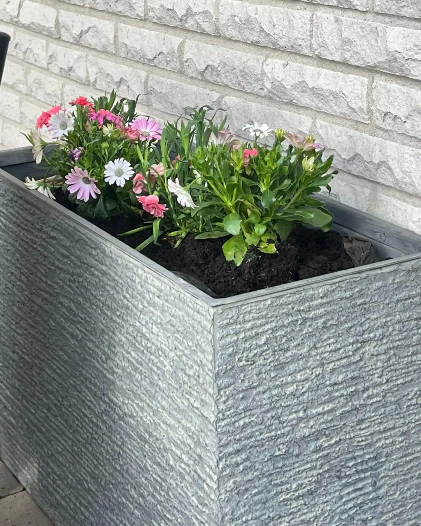 Donica EDESSA 80 cm Szary