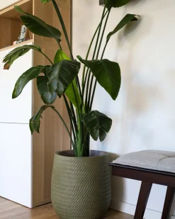 Donica LIVADIA 39 cm Oliwkowy