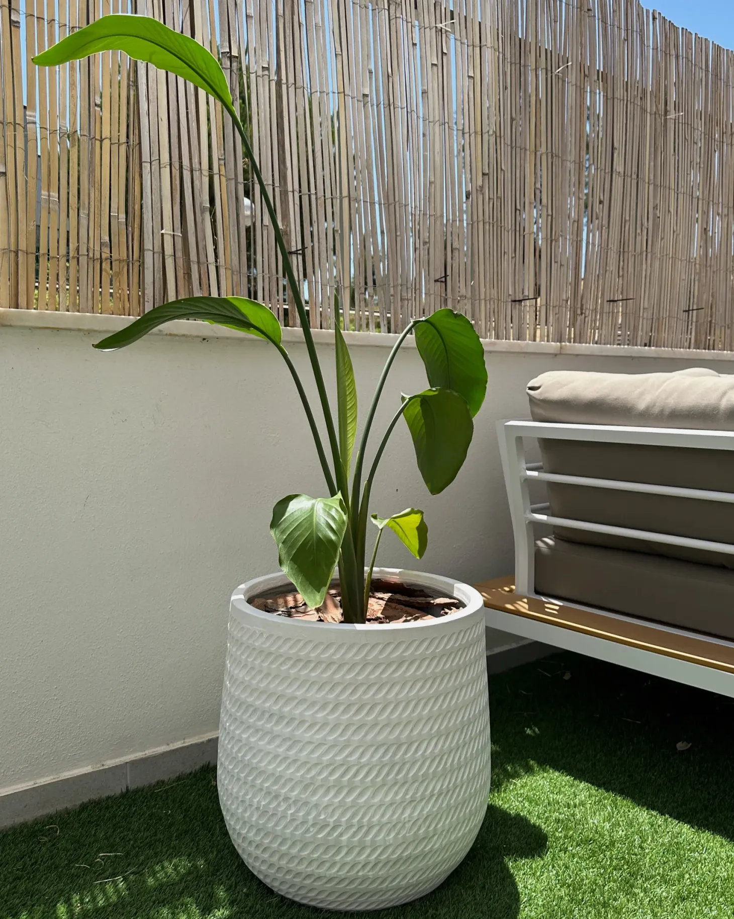 Donica LIVADIA 39 cm Złamana biel