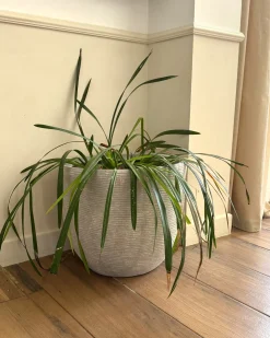 Donica LIXOURI 47 cm Jasnoszary