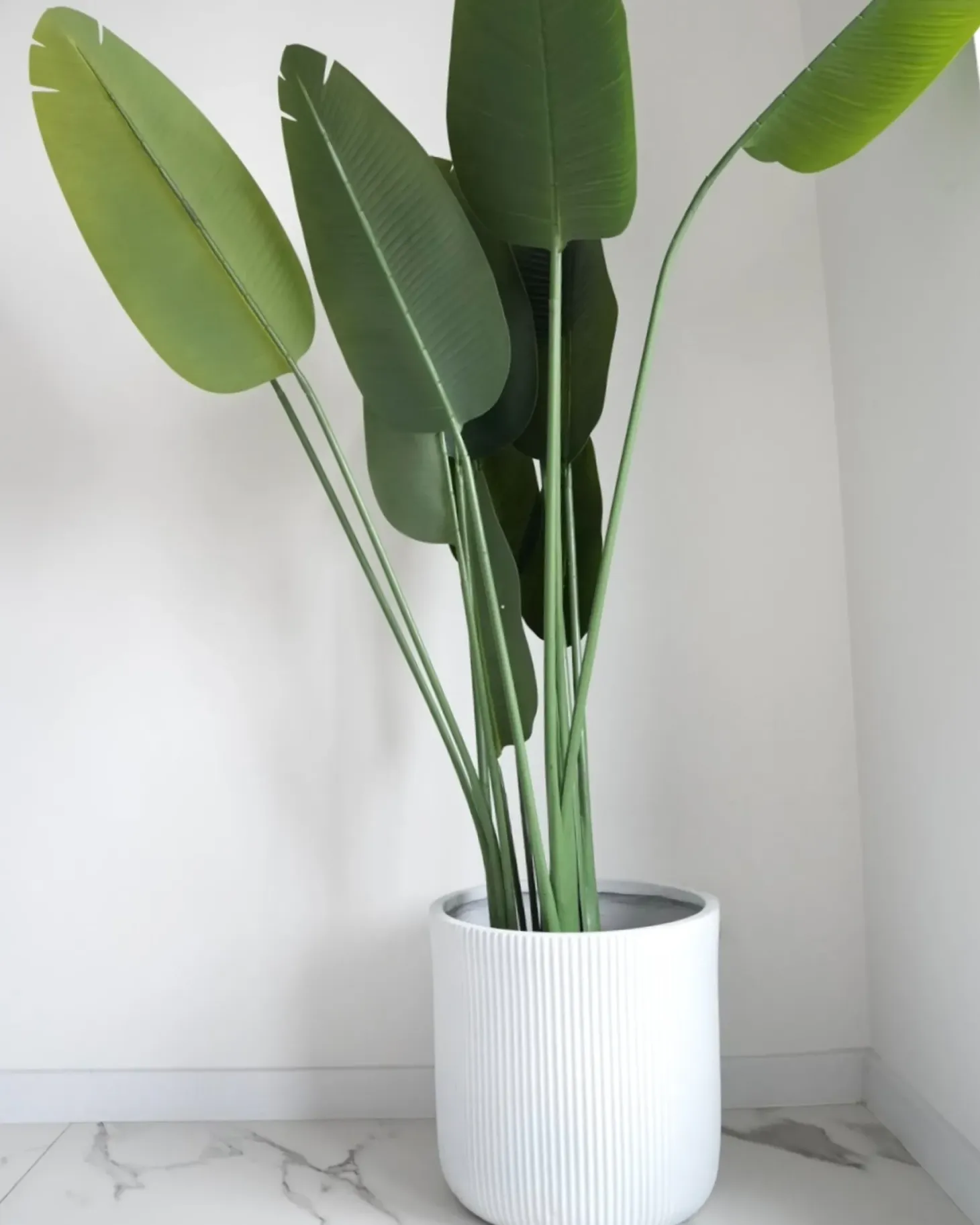 Donica OREOI 37 cm Złamana biel
