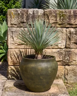 Donica THERISO 54 cm Ciemnozielony