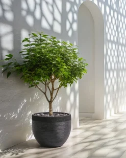 Donica ZAKROS 50 cm Czarny