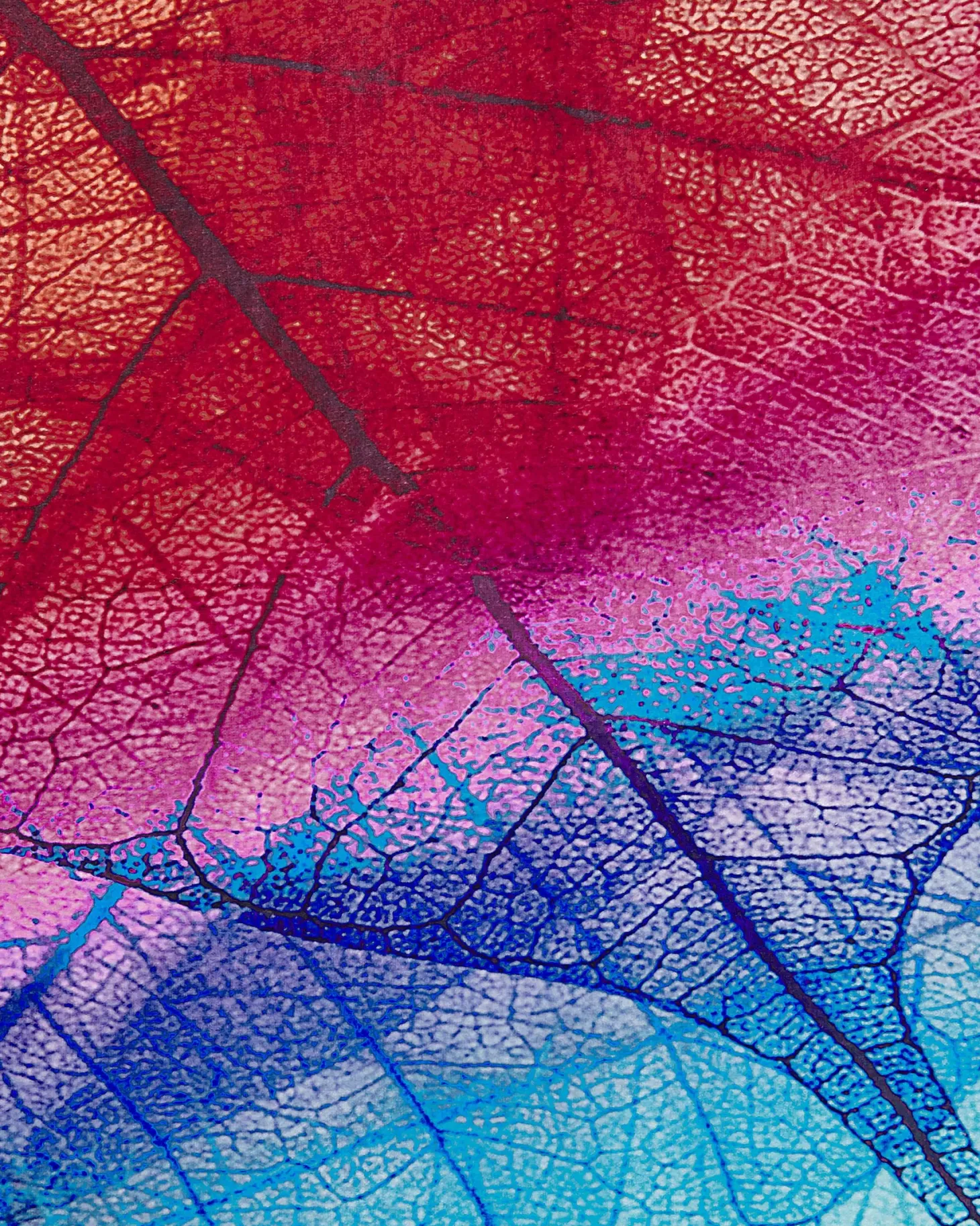 Dywan ANTAKYA Kolorowy 160 x 230 cm