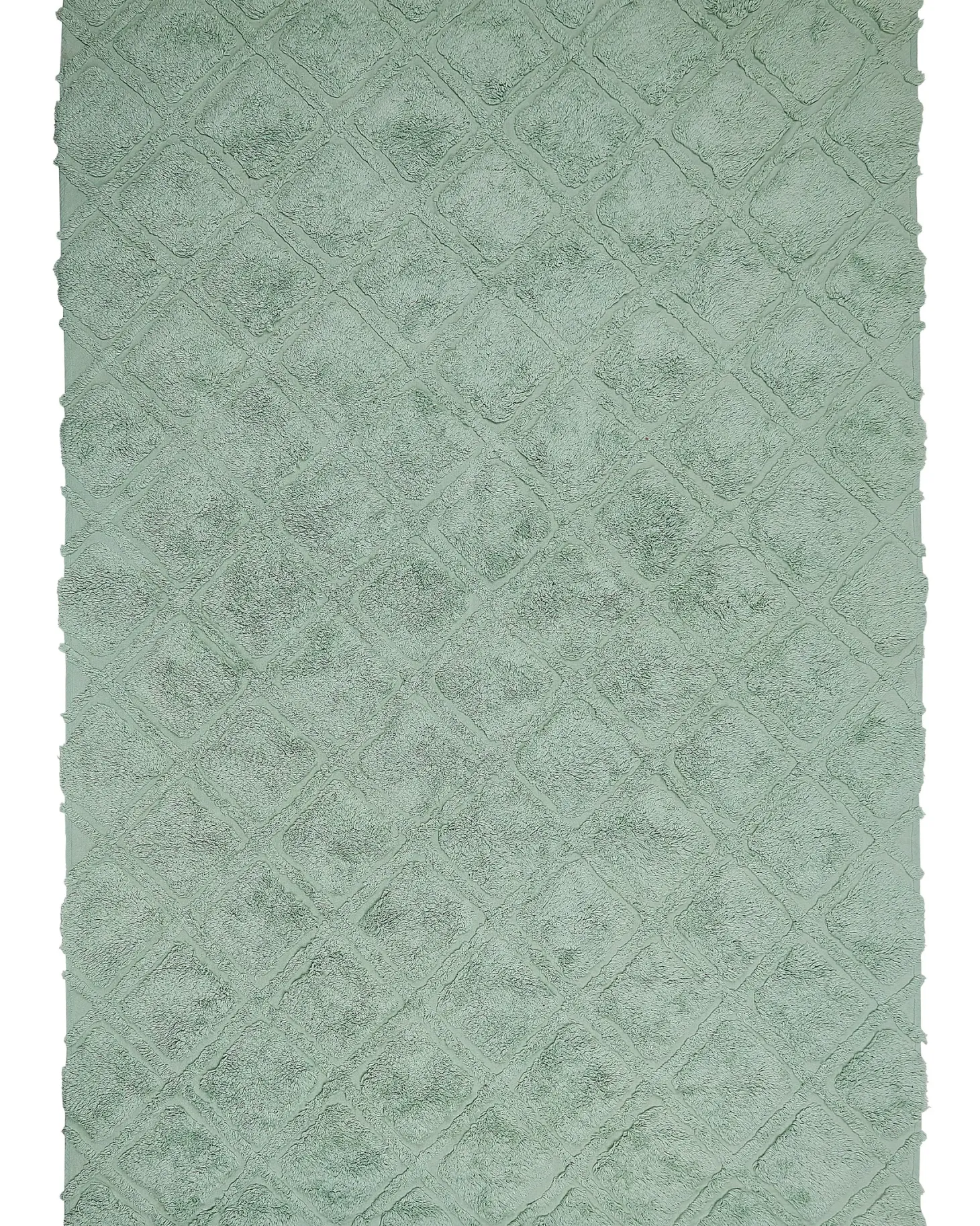 Dywan HATAY Jasnozielony 160 x 230 cm Bawełna