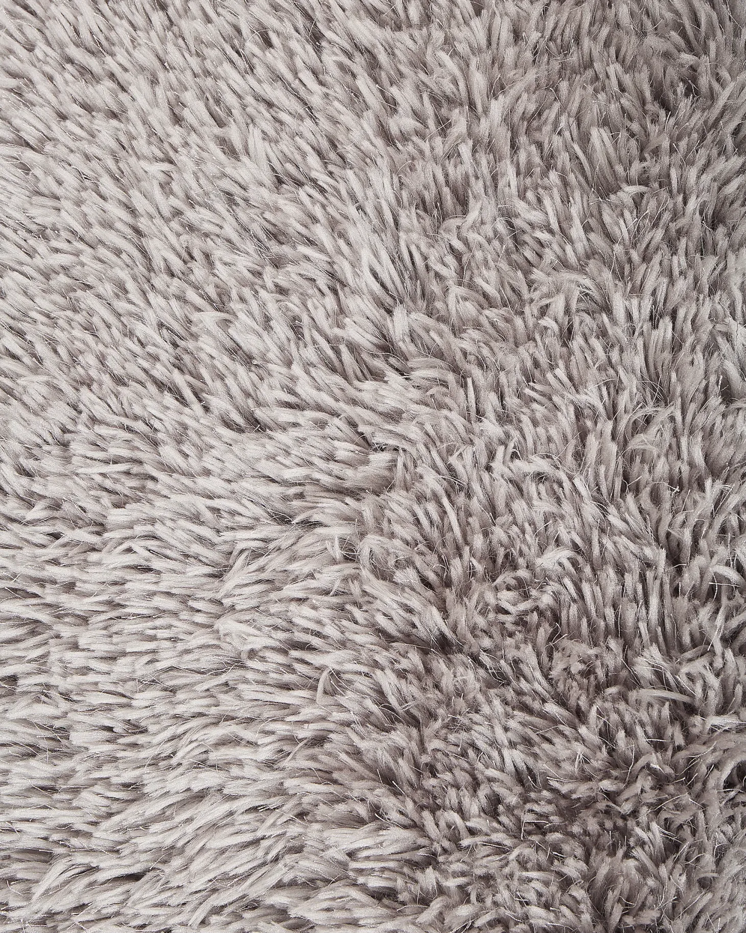 Dywan shaggy CIDE Jasnoszary 200 x 300 cm