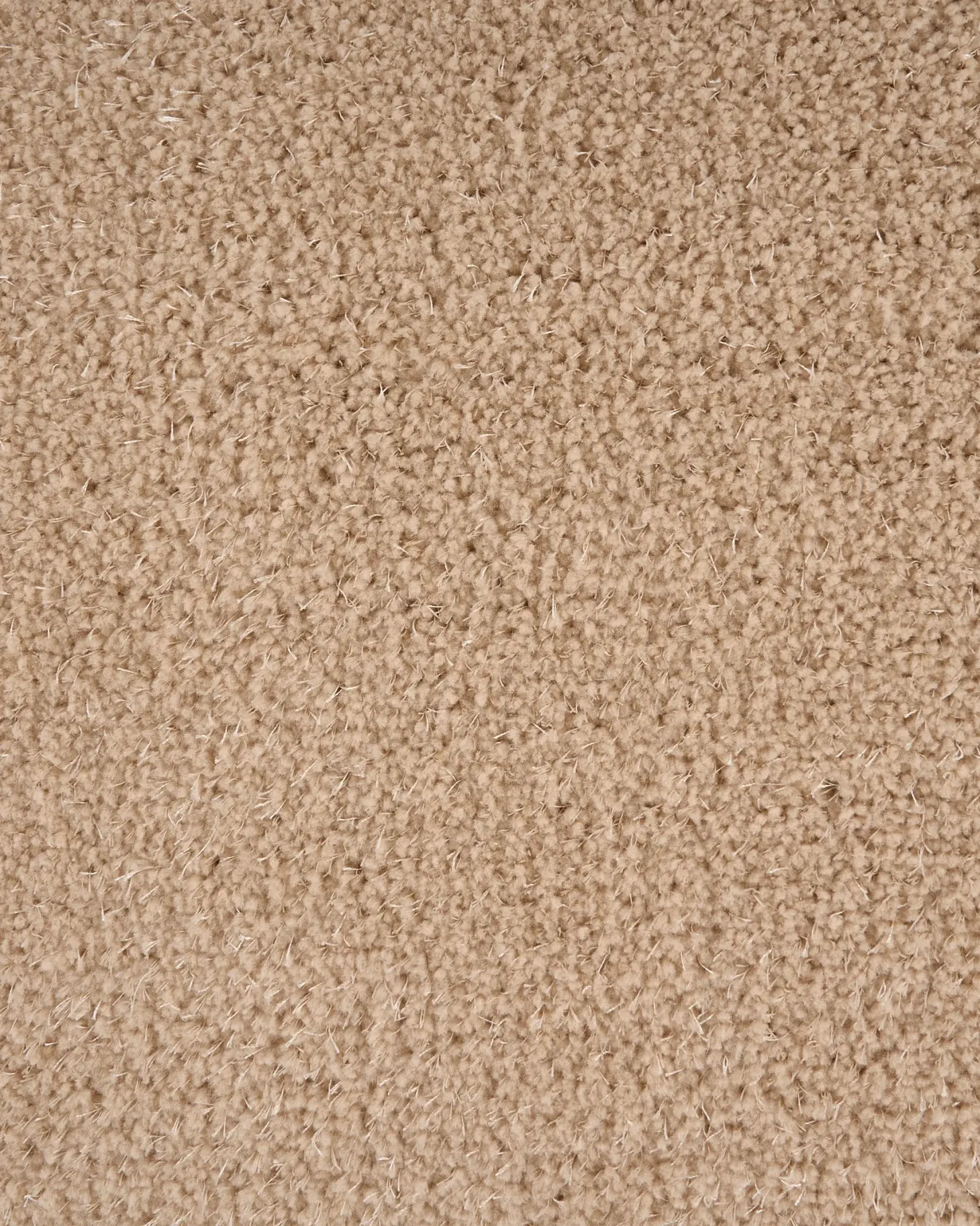 Dywan shaggy DEMRE Piaskowy 160 x 230 cm
