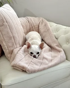 Sale CHESTERFIELD Skóra naturalna Jasnobeżowy Wszystkie Fotele|Fotele Skórzane