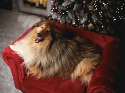 Outlet CHESTERFIELD Welur Burgundowy Wszystkie Fotele|Fotele Tapicerowane