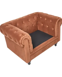 Outlet CHESTERFIELD Welur Złoty brąz Wszystkie Fotele|Fotele Tapicerowane