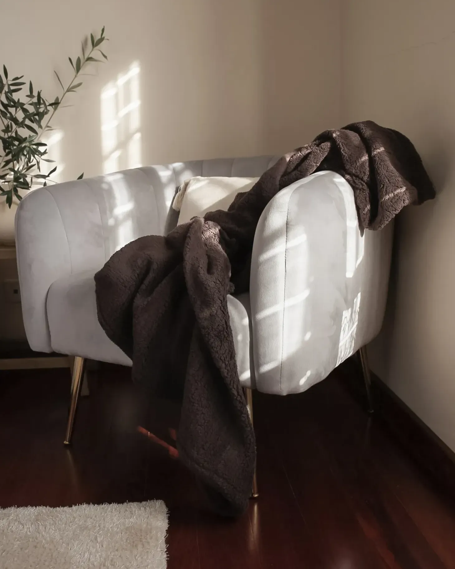 Discount Fotel LACONIA Welur Jasnoszary Wszystkie Fotele|Fotele Tapicerowane