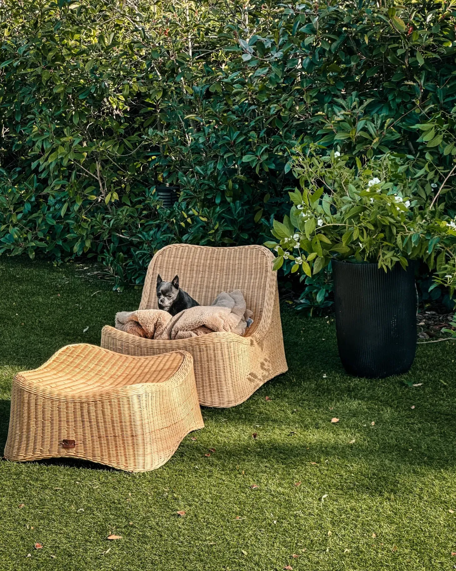 Fotel ogrodowy z otomaną AIGANI Rattan Naturalny