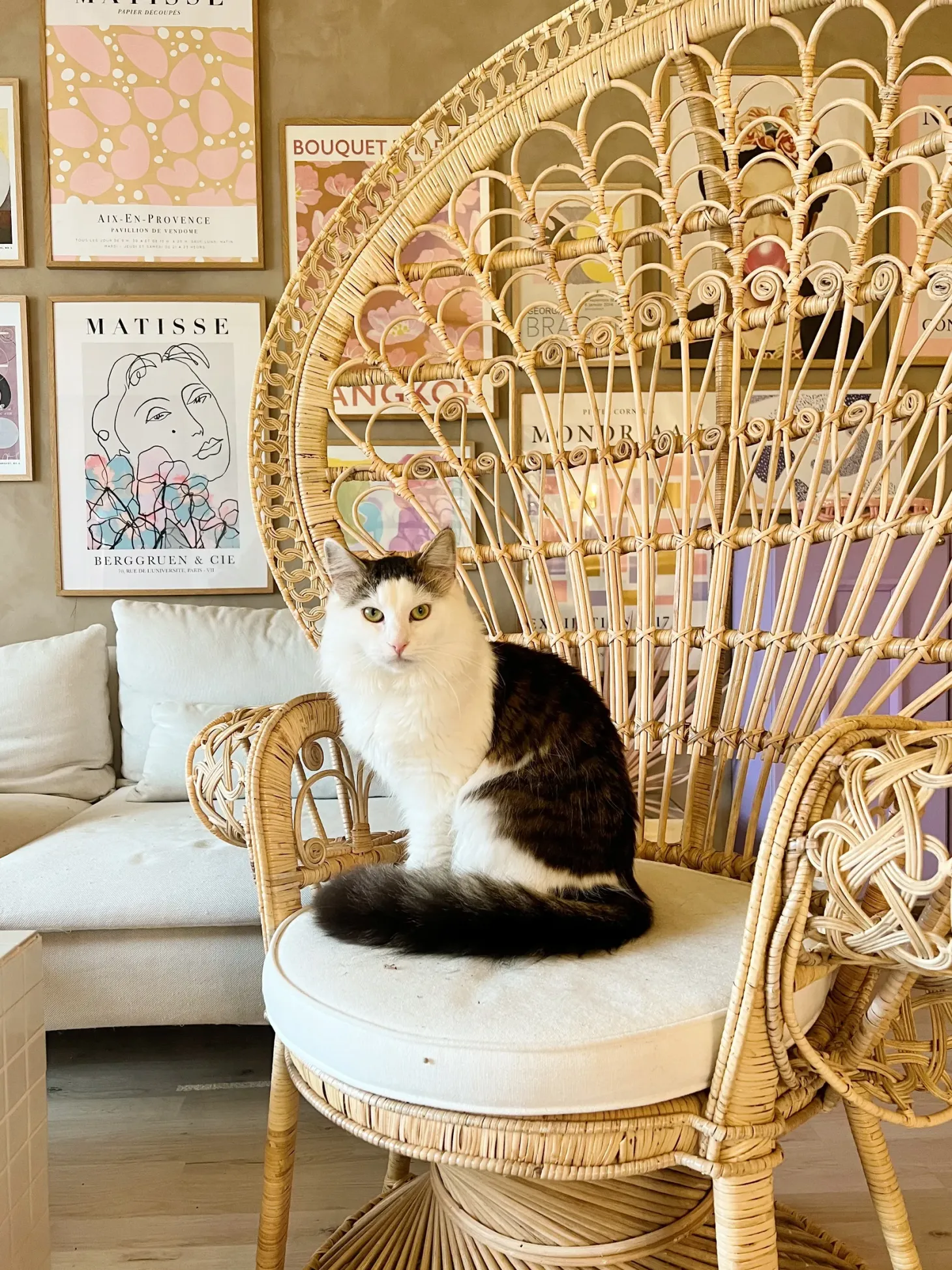 Fotel paw EMMANUELLE Rattan Naturalny