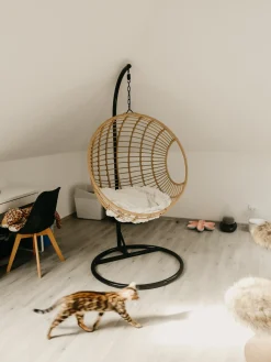 Fotel wiszący ze stojakiem ASPIO Technorattan Naturalny