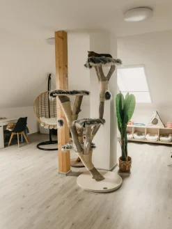 Fotel wiszący ze stojakiem ASPIO Technorattan Naturalny