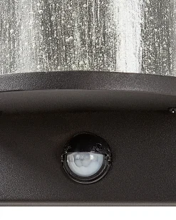 Kinkiet zewnętrzny LED PHEPPIE Z czujnikiem ruchu Czarny