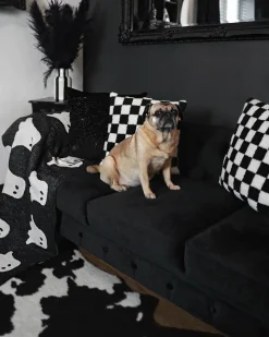 Outlet Komplet wypoczynkowy dla 4 osób CHESTERFIELD Welur Czarny Sofy Tapicerowane|Kolekcje Sof
