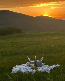 Kosz piknikowy GROSEILLE Plecionka Szary