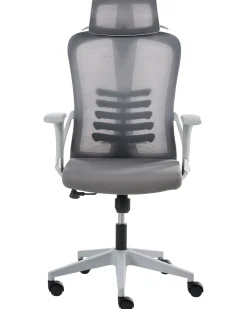 Clearance Krzesło biurowe ERGONOX Szary Profesjonalne Fotele Biurowe|Wszystkie Krzesła