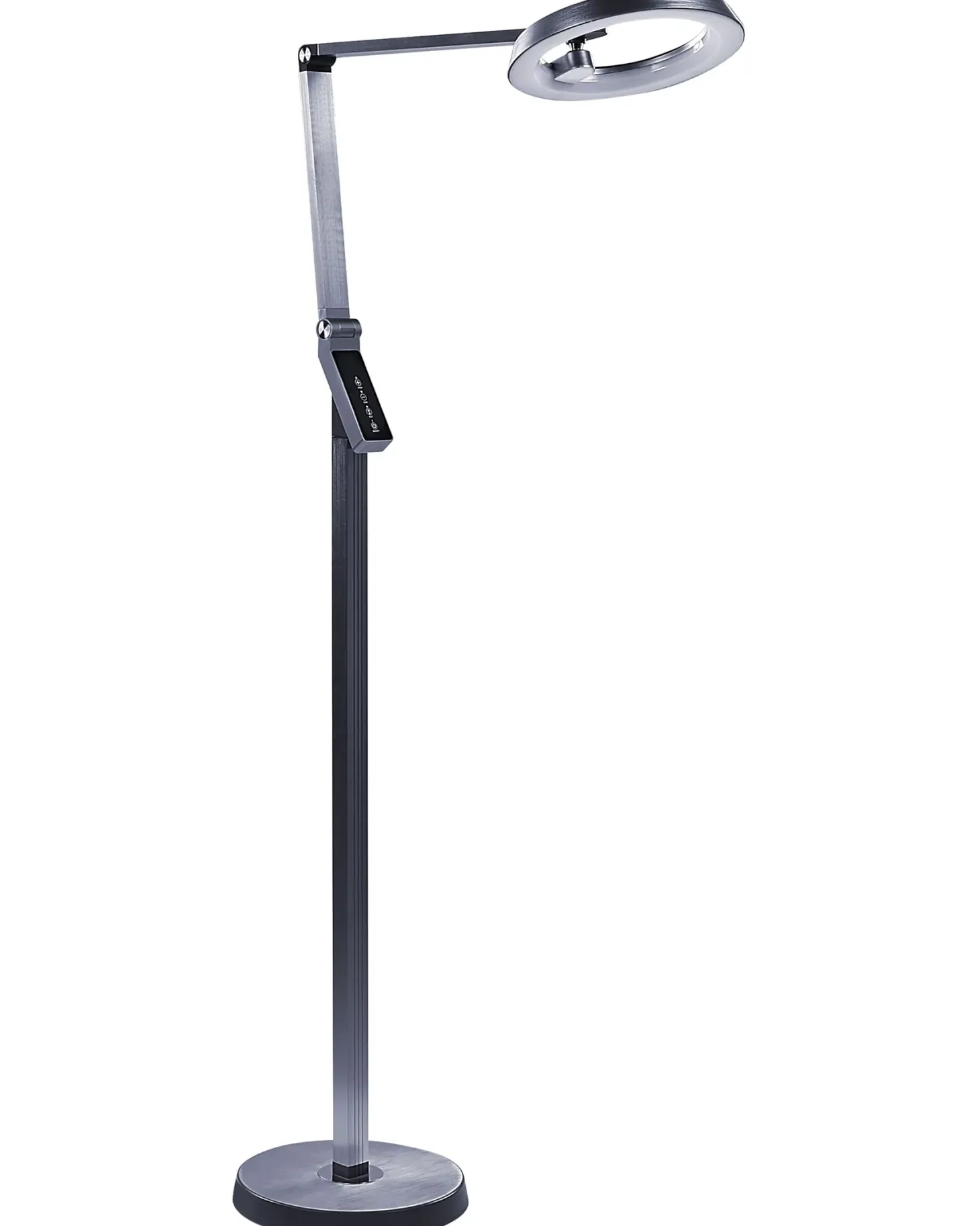 Lampa podłogowa LED CARINA Ze ściemniaczem Metal Ciemnoszary