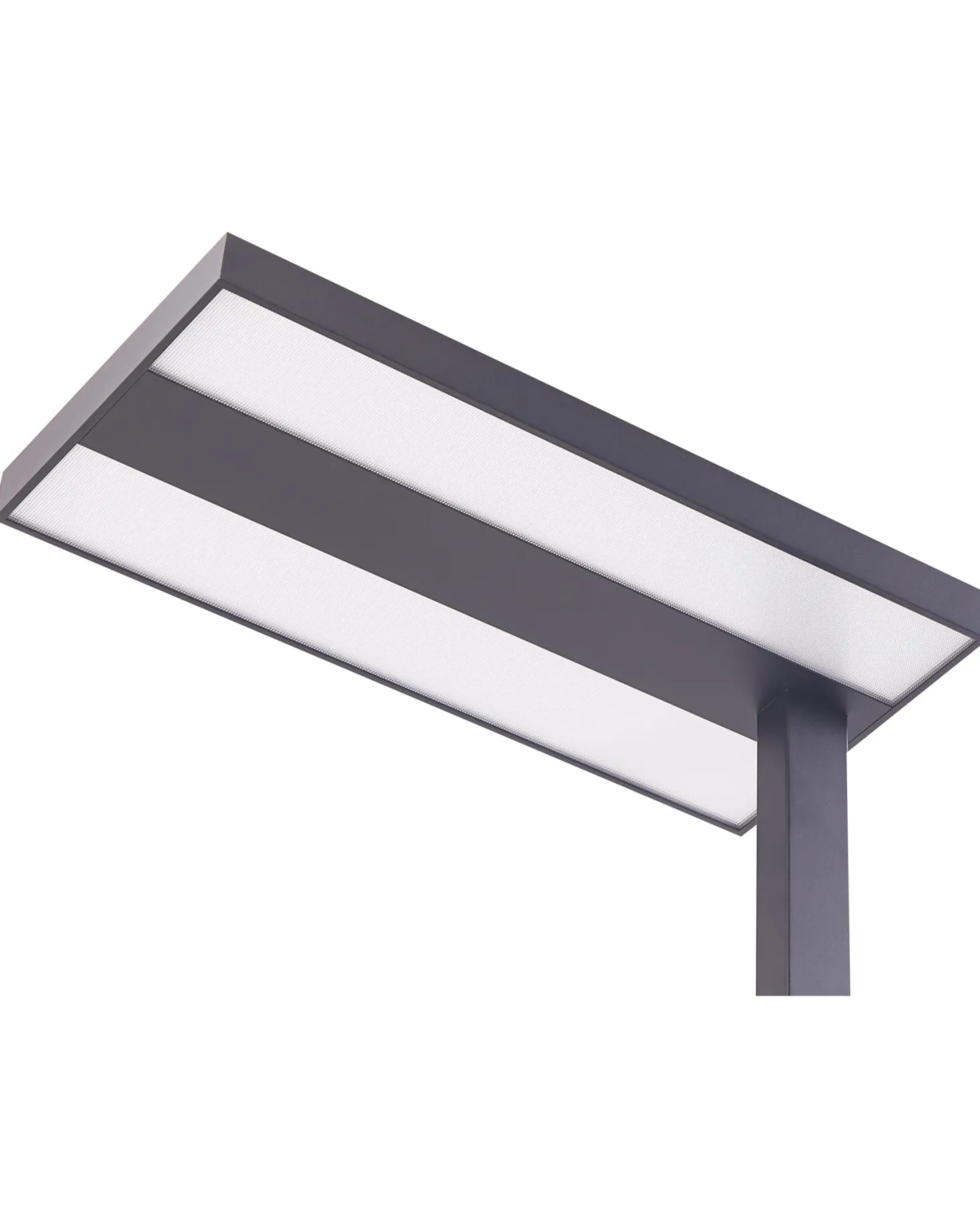 Lampa podłogowa LED TAURUS Ze ściemniaczem Metal Czarny