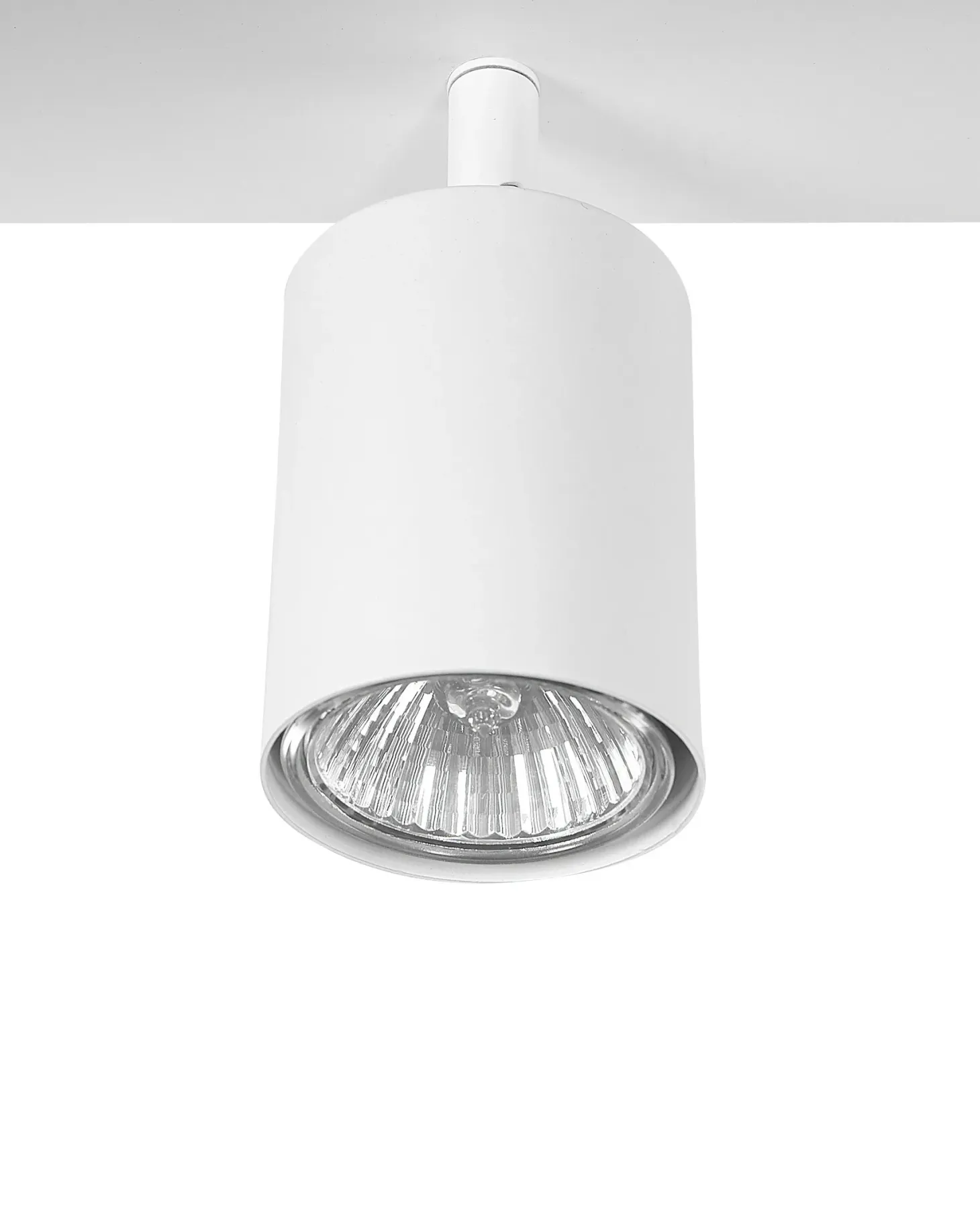 Lampa spot 4-punktowa TIGRIS Biały Metal Regulowana