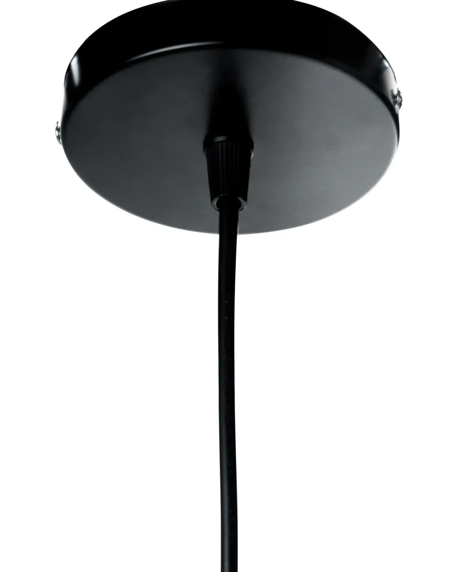 Online Lampa wisząca ARYS Hiacynt wodny Wszystkie Lampy|Lampy Wiszące