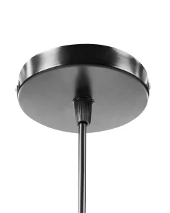 Lampa wisząca PASOS Hiacynt wodny Naturalny